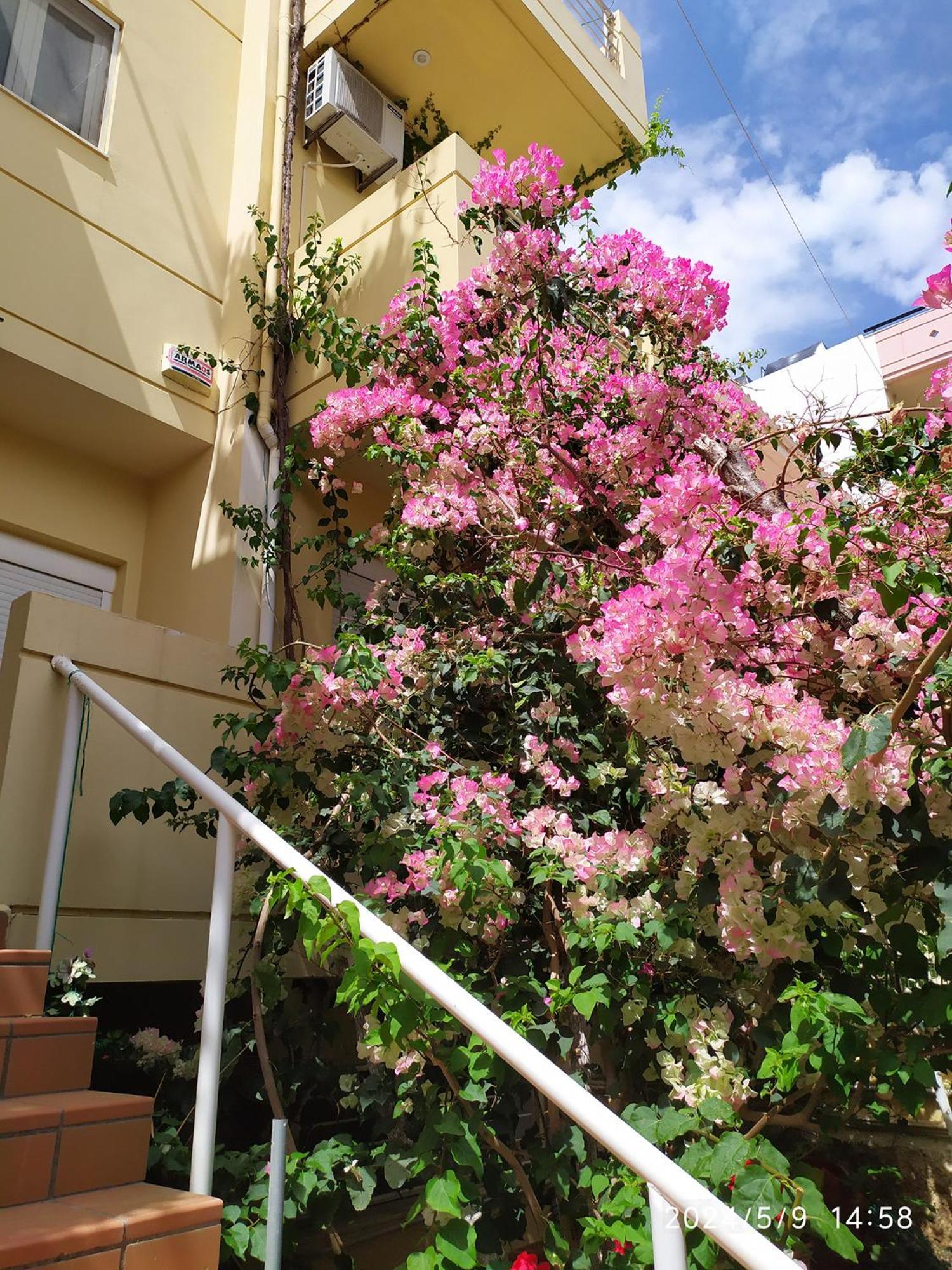 Georgia'S Family Apartment イラクリオン エクステリア 写真